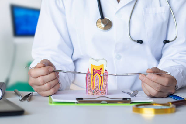 Best Emergency TMJ Treatment in Bottineau, ND